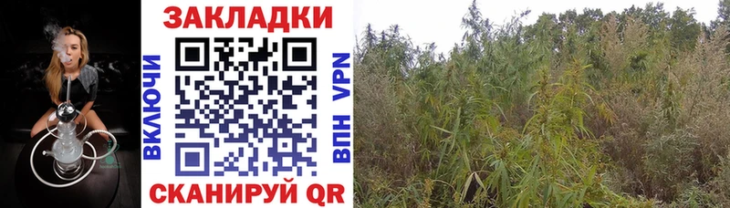 Амфетамин Нефтегорск