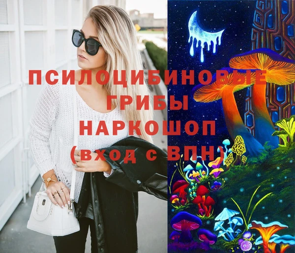 хмурый Нея