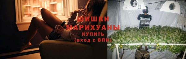 хмурый Нея