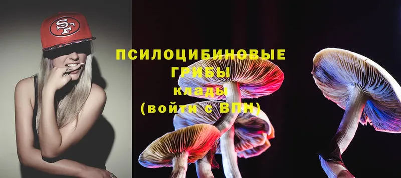 OMG как зайти  Нефтегорск  Псилоцибиновые грибы MAGIC MUSHROOMS  цены  